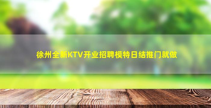 徐州全新KTV开业招聘模特日结推门就做